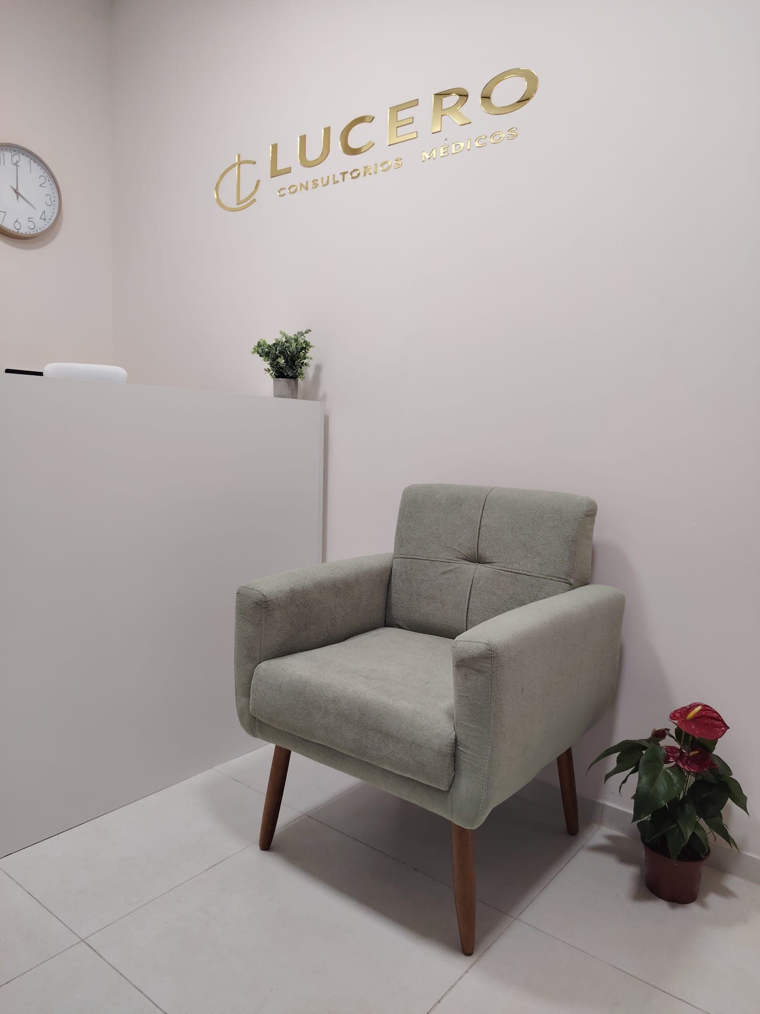 Recepción Lucero Consultorios Médicos