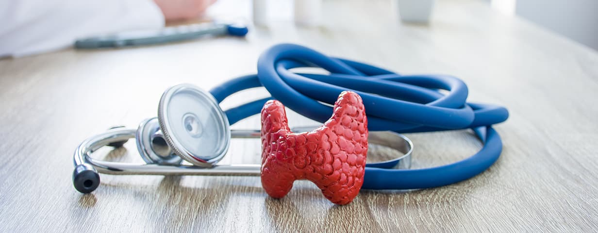 Tiroides y estetoscopio — endocrinología en Lucero Consultorios