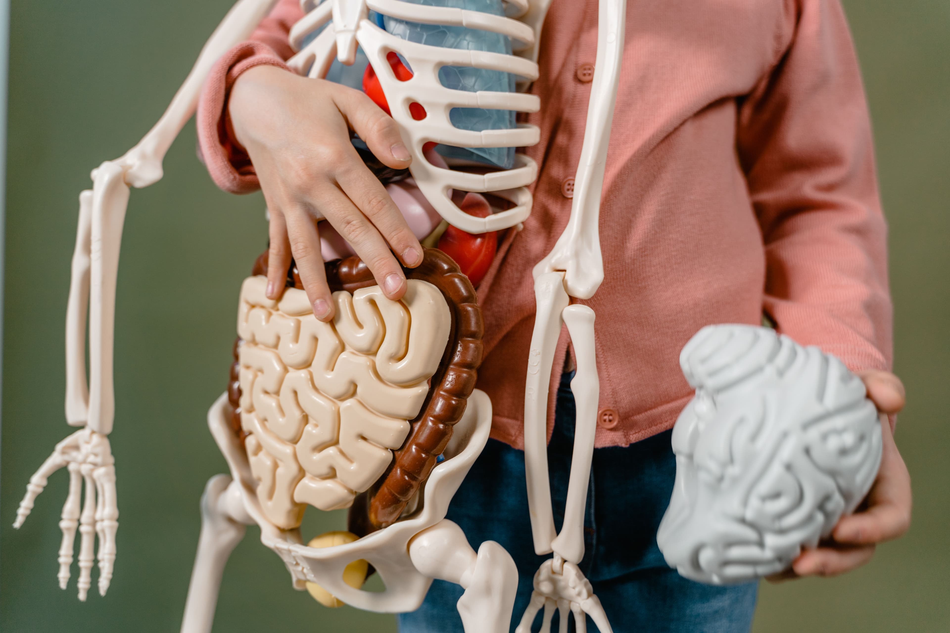 Consultorio de gastroenterología en Lucero Consultorios Médicos